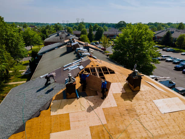 Roof Gutter Cleaning in Sleepy Eye, MN